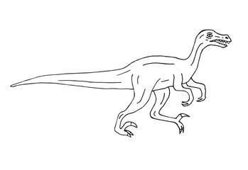 Vector hand drawn doodle sketch velociraptor dinosaur isolated on white background