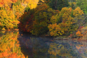 Fototapeta premium 岩手県西和賀町 紅葉の錦秋湖