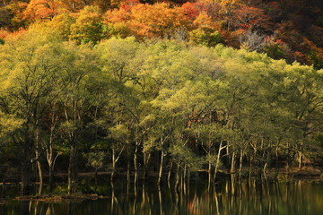 岩手県西和賀町　紅葉の錦秋湖