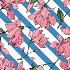 Vector Magnolia floral botanical flowers. Black and white engraved ink art. Seamless background pattern.