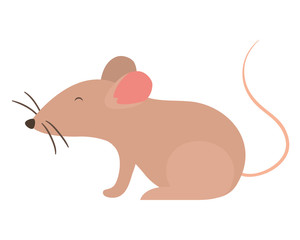 Isolated mouse cartoon vector design