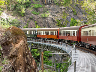Tourist Train in an Australian Forest
