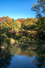 有栖川公園の紅葉