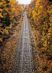 Straight rail line in autumn.