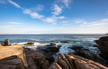 Fototapeta na wymiar Natural landscape and seascape in Acadia National Park, Maine, USA