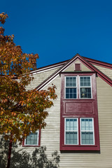 Old house with tree