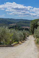 Fototapeta na wymiar Dirt road running through Tuscany