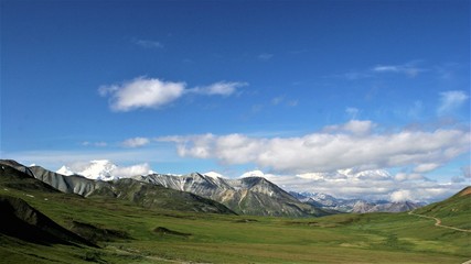 Landscape in Denali Park