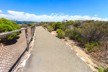 Fototapeta na wymiar Pathway through North Head Sanctuary