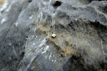 Close up view of Pyrite or Fools Gold in rock.