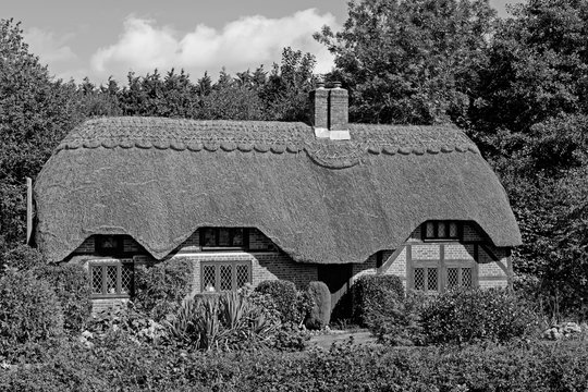 BW Cottage in New Forest 1, view from side of road