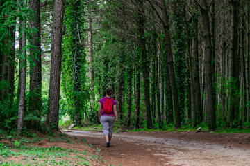 Mature woman walking in a road with trees near Curitiba, Parana, Brazil