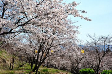 花立山