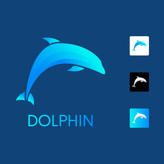 Colorful dolphin logo design concept.