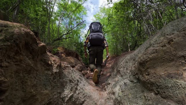man traveler with backpack walking and looking in the natural forest
