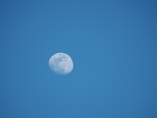 Full Moon 1