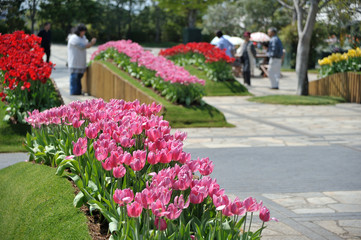 フローランテ宮崎