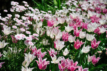 フローランテ宮崎