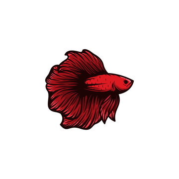 recommend clip art: beautiful betta fish vector illustration