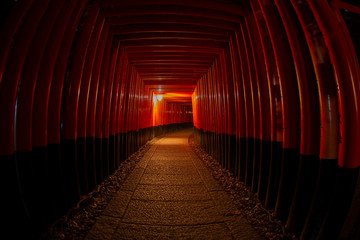 伏見稲荷　千本鳥居