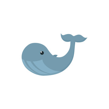 Isolated sea whale vector design