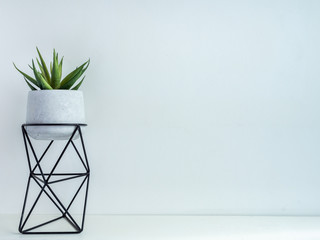 Cactus pot. Concrete pot. Modern geometric concrete planter.