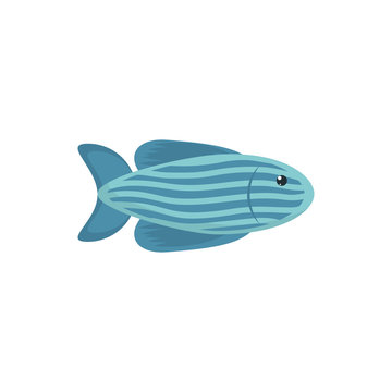 Isolated sea fish vector design