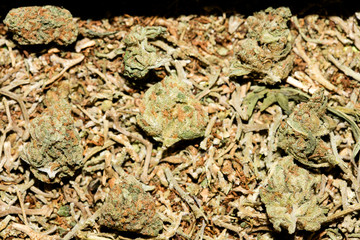 Marihuana macro super lemon haze background fifty megapixels prints