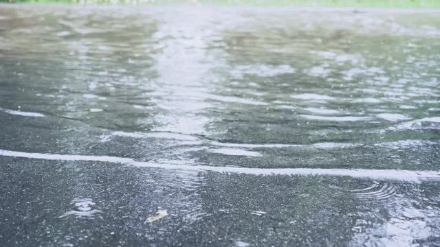 Rain In The Street