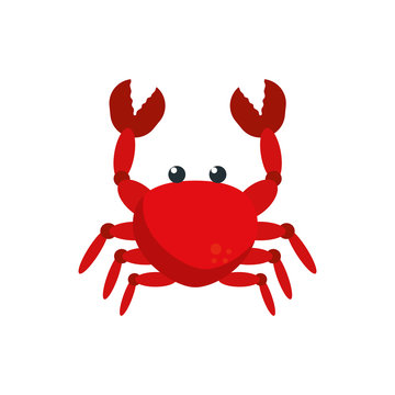 Isolated sea crab vector design