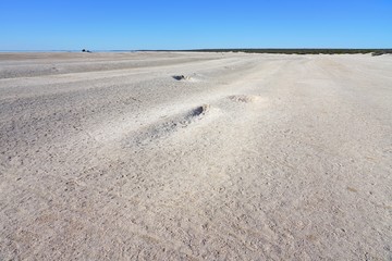 View of Shell Beach in Shark Bay, World Heritage area, Western Australia