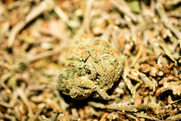 Marihuana macro super lemon haze background fifty megapixels prints