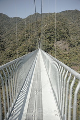 Obraz premium 綾照葉大吊り橋