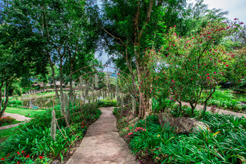 The natural background of the decoration of the park or the ornamental garden, the atmosphere is surrounded by many plants, for people to sit and relax while traveling.  B