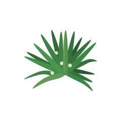 Isolated plant with leaves vector design