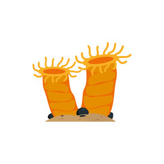 Isolated sea mollusk vector design