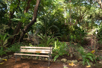 Obraz premium bench in the park