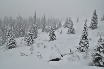 Snowshoeing in Joffre lakes provincial park