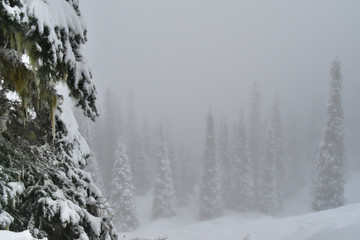 Snowshoeing in Joffre lakes provincial park