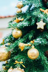 Christmas background. Green fir tree with golden balls.