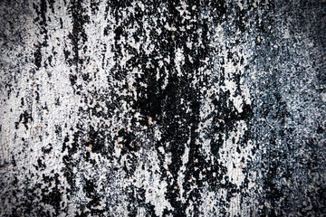 Fragment of a gray concrete wall with small white stones. texture for background. Repair, design concept.