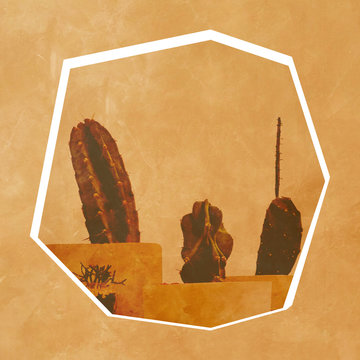 cactos