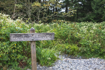 Appalachian Trail at Clingmans Dome