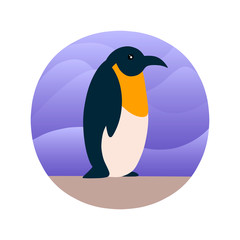 Основные RGB