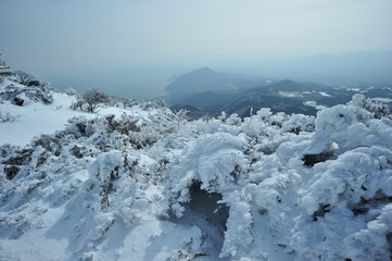 Fototapeta na wymiar 鶴見岳の積雪