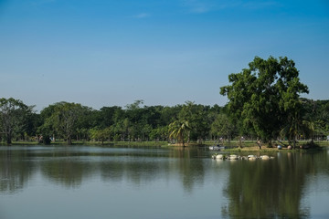 Scenic view of a park in the city with a pond, green tree and blue sky, calm and relax. Trees  and sky reflecting in water