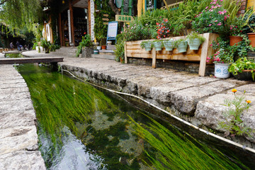 Fototapeta na wymiar Lijiang is famous for its ancient architecture and orderly system of waterways. The clean canal flowing around the old town with water grass growing inside.