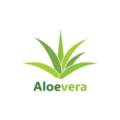 Aloe vera logo vector illustration template design