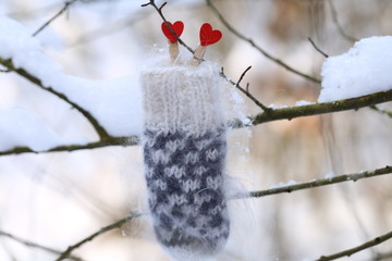 Winter season. Fluffy knitted gray mittens on a branch in a snowy forest. Symbol of winter and cold.