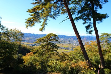 秋　風景　山　杤木